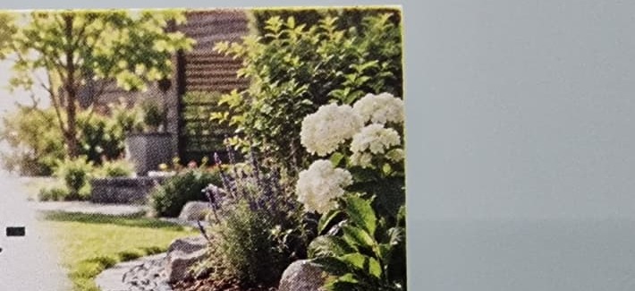 Gepflegter Garten mit Stauden und Sitzbereich